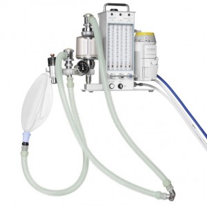 Portable Anesthesia Machine