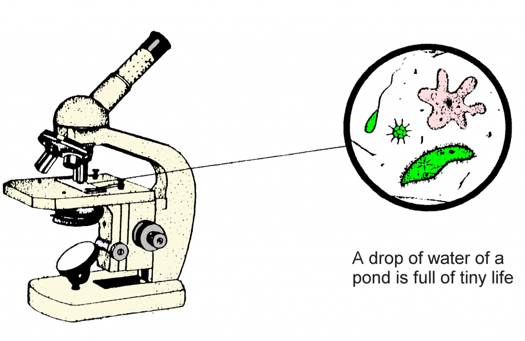 The invention of the microscope opened up a new world.